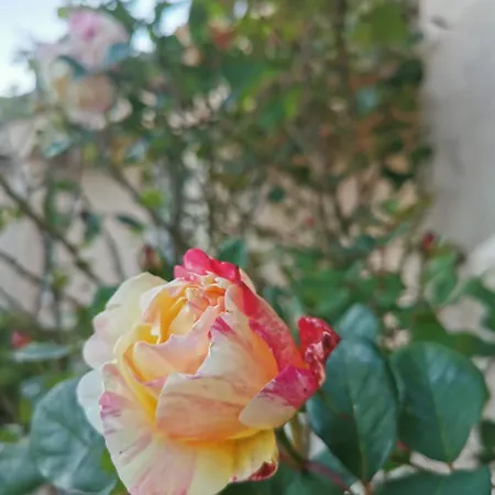 Bed & Breakfast Carcassonne Cote Nature